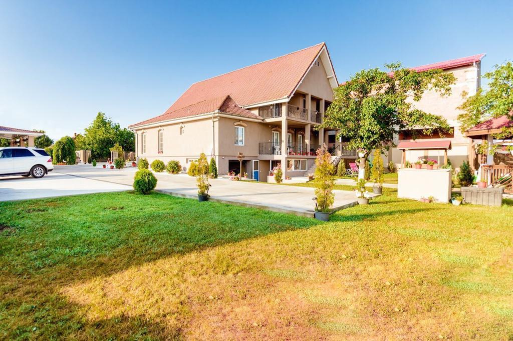 Casa Iulia Hotel Haţeg Buitenkant foto